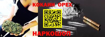 крисы Донской