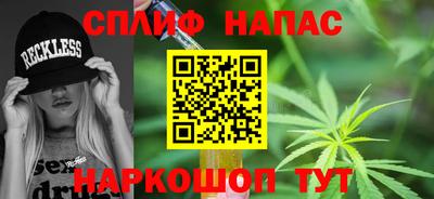 стафф Дубна