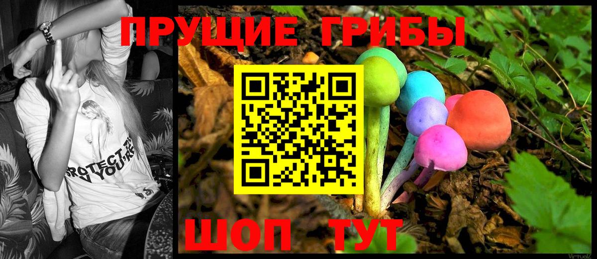 Галлюциногенные грибы Magic Shrooms Родники